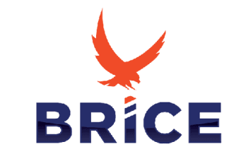 Логотип Brice